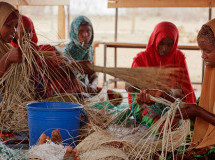 Somali Arts Blossom In Minneapolis