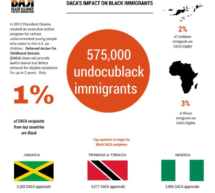 BLACK IMMIGRANT ORGANIZATION ANGRY ABOUT TRUMP RESCINDING DACA